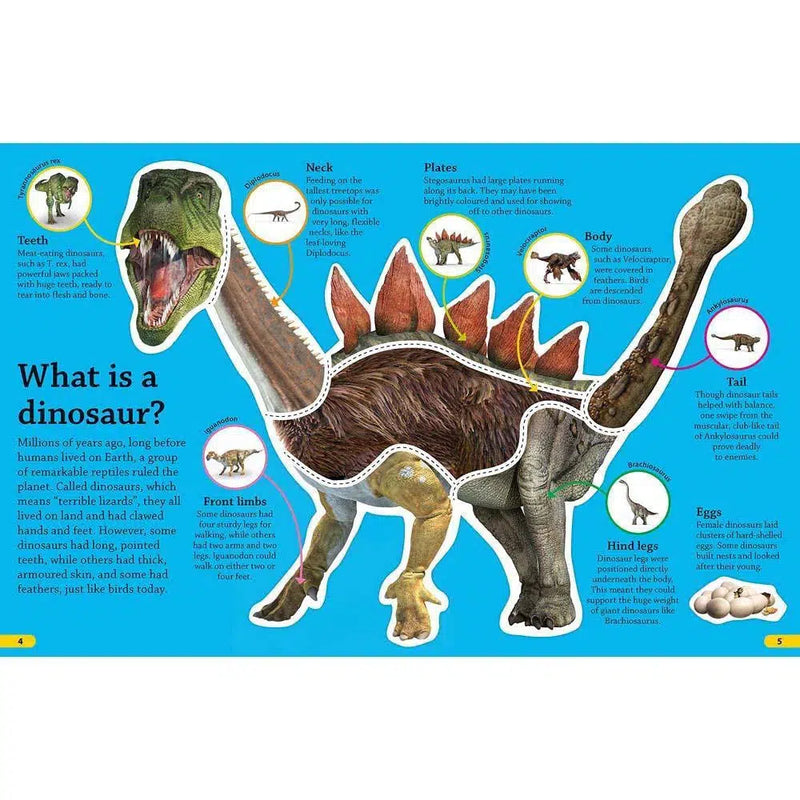 DKfindout! Dinosaurs (Paperback) DK UK