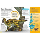 DKfindout! Dinosaurs (Paperback) DK UK