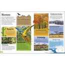 DKfindout! Earth (Paperback) DK UK