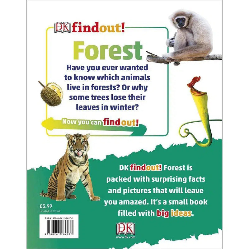 DKfindout! Forest (Paperback) DK UK