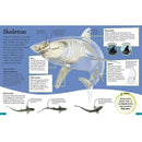 DKfindout! Sharks (Paperback) DK UK