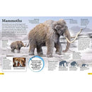 DKfindout! Stone Age (Paperback) DK UK