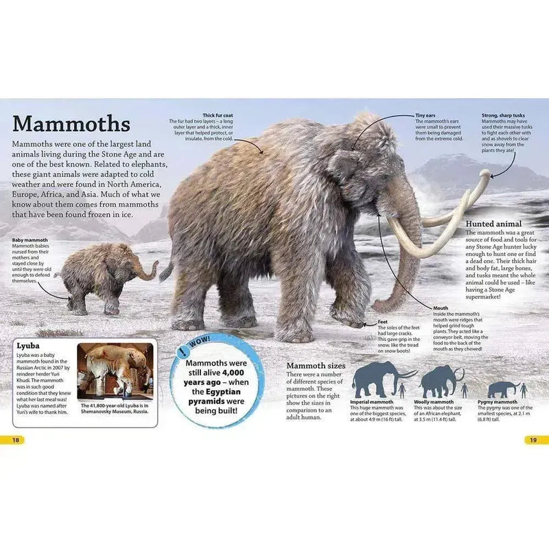 DKfindout! Stone Age (Paperback) DK UK