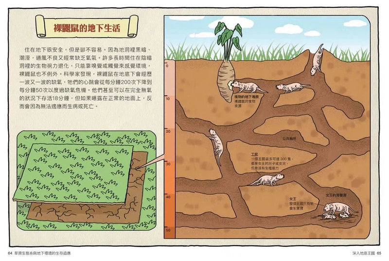 達克比辦案 14：莽原生死鬥：草原生態系與地下環境的生存適應-非故事: 常識通識 General Knowledge-買書書 BuyBookBook