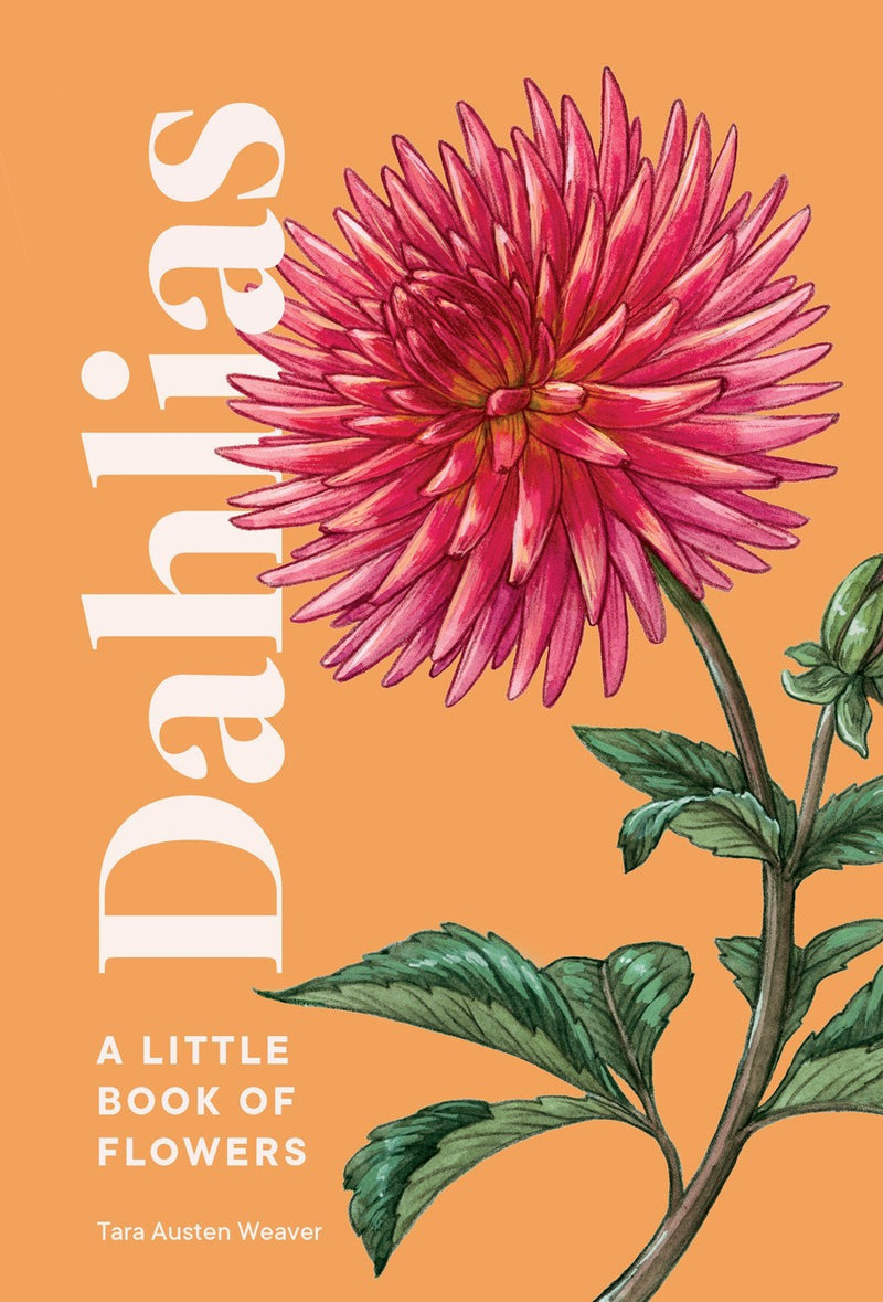 Dahlias-Lifestyle and Leisure-買書書 BuyBookBook