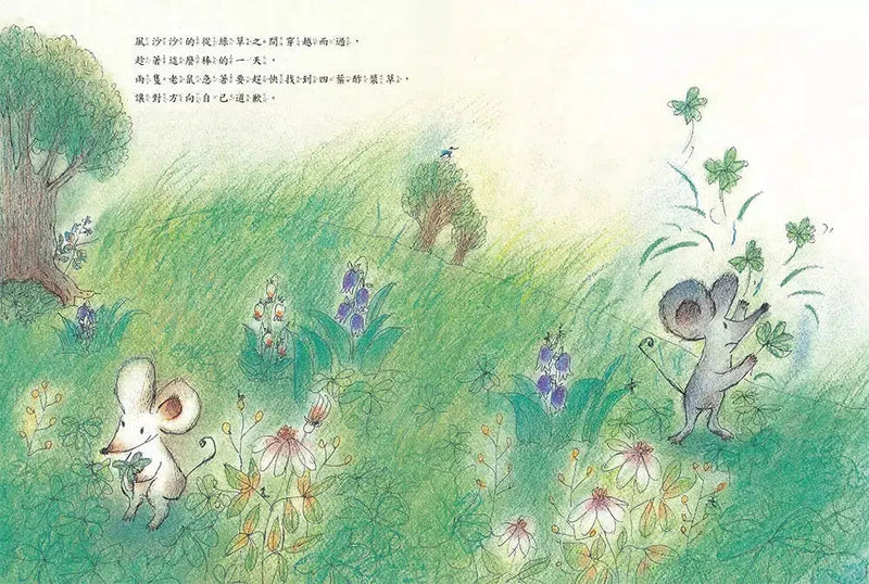 帶來幸福的酢漿草(仁科幸子)-故事: 兒童繪本 Picture Books-買書書 BuyBookBook