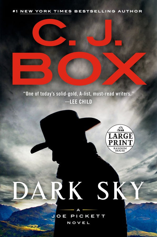 Dark Sky-Fiction: Crime and mystery-買書書 BuyBookBook