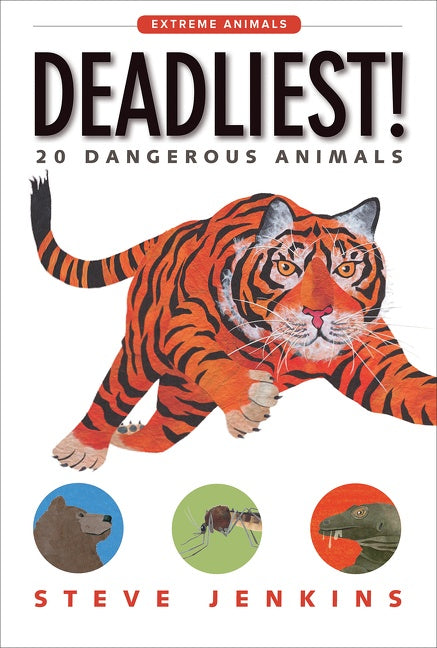 Deadliest!-Children’s / Teenage general interest: Nature and animals-買書書 BuyBookBook