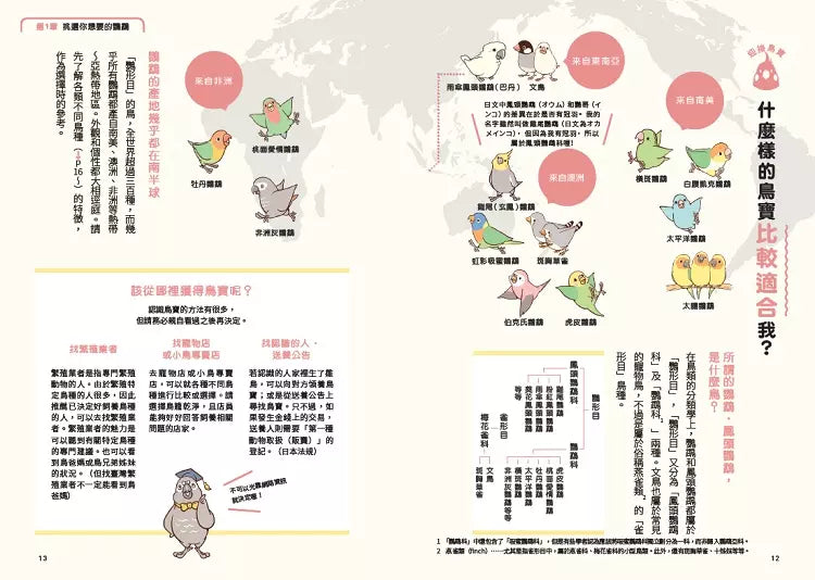 第一次養鸚鵡就戀愛了！【超萌圖解】鸚鵡飼育百科：從日常照料、玩耍訓練到健康照護，鳥寶一生全指南-非故事: 動物植物 Animal & Plant-買書書 BuyBookBook