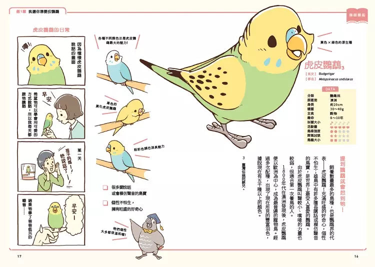 第一次養鸚鵡就戀愛了！【超萌圖解】鸚鵡飼育百科：從日常照料、玩耍訓練到健康照護，鳥寶一生全指南-非故事: 動物植物 Animal & Plant-買書書 BuyBookBook