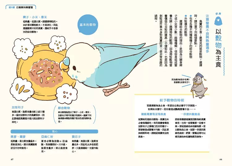 第一次養鸚鵡就戀愛了！【超萌圖解】鸚鵡飼育百科：從日常照料、玩耍訓練到健康照護，鳥寶一生全指南-非故事: 動物植物 Animal & Plant-買書書 BuyBookBook