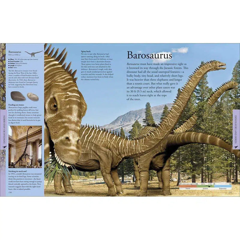 Dinosaurs - A Visual Encyclopedia (Paperback) DK US