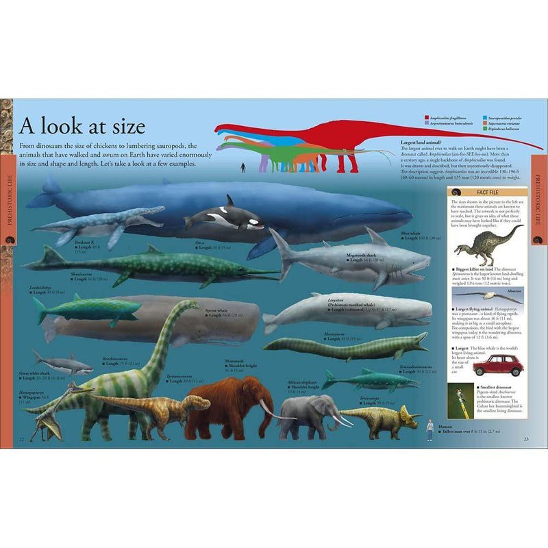 Dinosaurs - A Visual Encyclopedia (Paperback) DK US