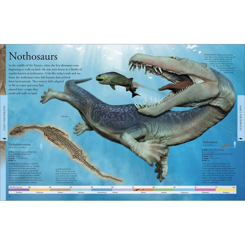 Dinosaurs - A Visual Encyclopedia (Paperback) DK US