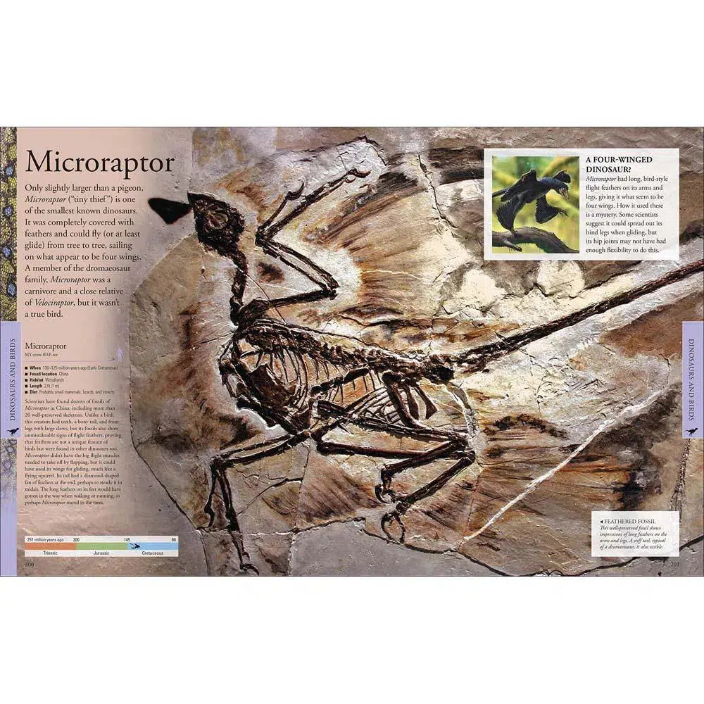 Dinosaurs: A Visual Encyclopedia, 2nd Edition Dinosaurs: A Visual Encyclopedia, 2nd Edition