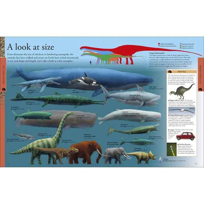 Dinosaurs A Children's Encyclopedia (Hardback) DK UK