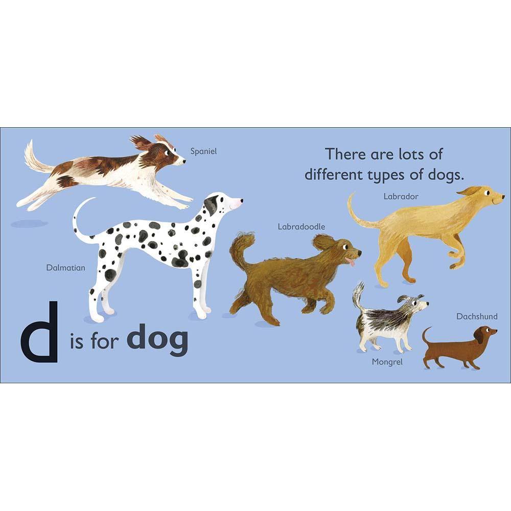 D is for Dog (Board book) DK UK