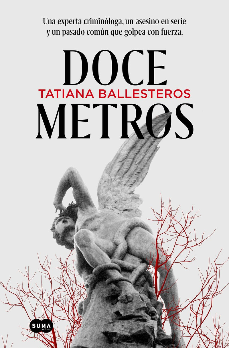 Doce metros / Twelve Meters-Fiction: Crime and mystery-買書書 BuyBookBook