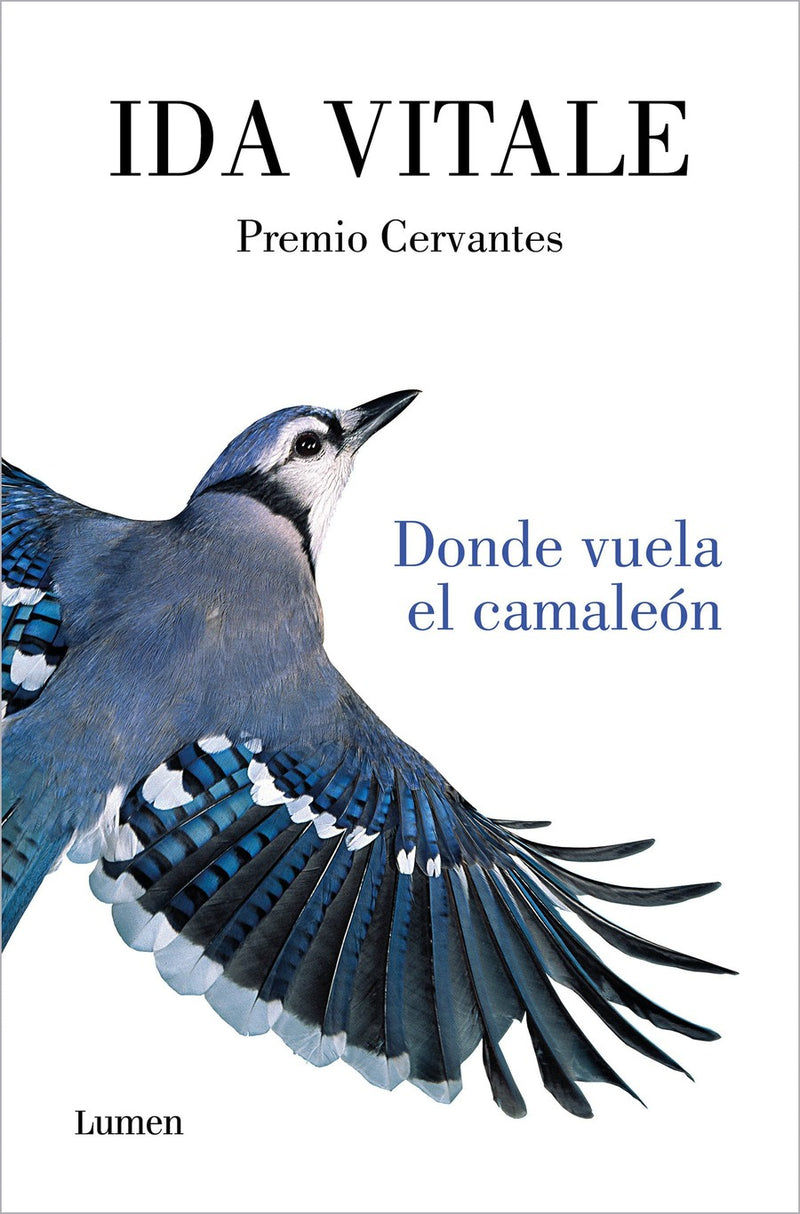 Donde vuela el camaleón / Where the Chameleon Flies-Short stories-買書書 BuyBookBook