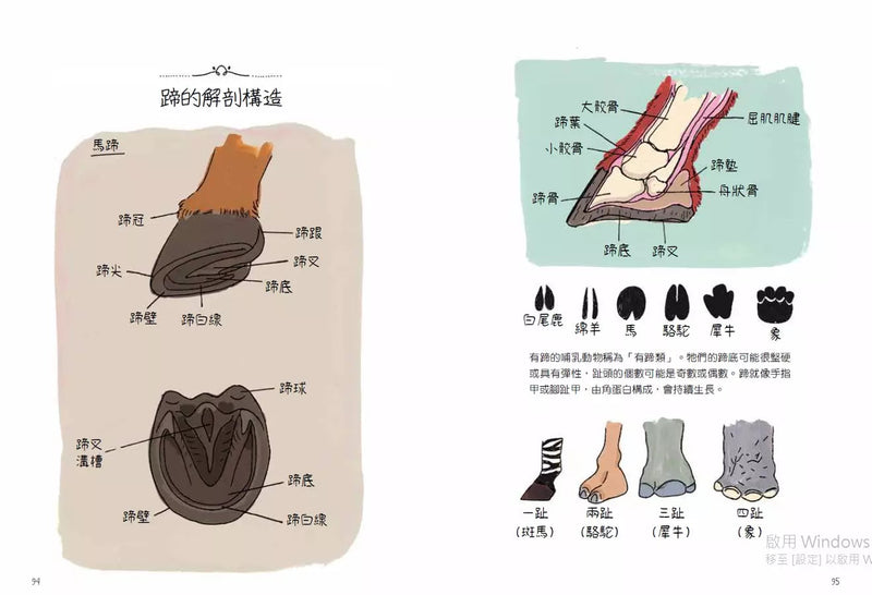 動物生態解剖書：揭祕世界各地野生動物的奇妙習性與生活-非故事: 動物植物 Animal & Plant-買書書 BuyBookBook