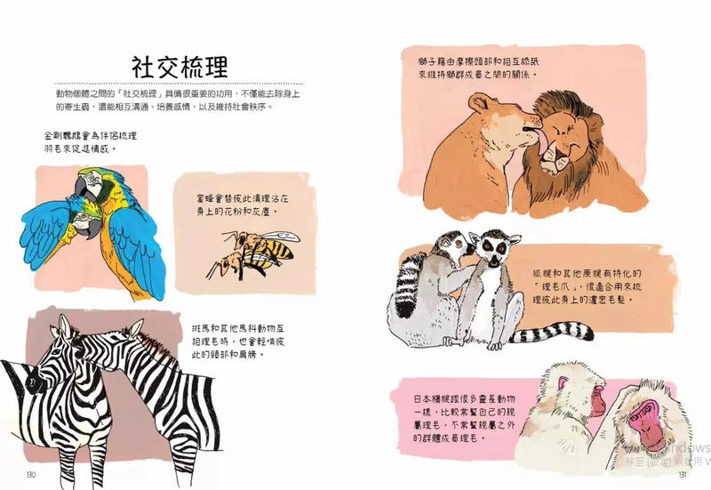 動物生態解剖書：揭祕世界各地野生動物的奇妙習性與生活-非故事: 動物植物 Animal & Plant-買書書 BuyBookBook