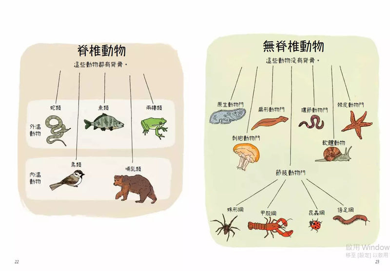 動物生態解剖書：揭祕世界各地野生動物的奇妙習性與生活-非故事: 動物植物 Animal & Plant-買書書 BuyBookBook