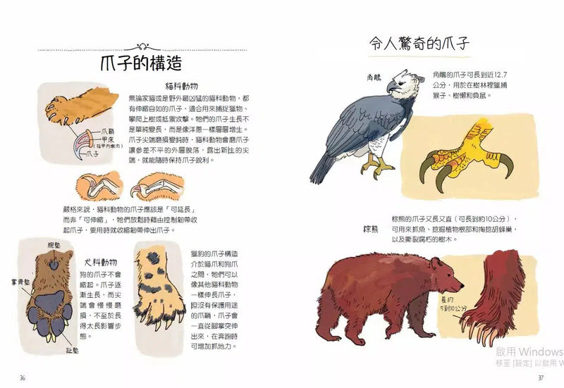 動物生態解剖書：揭祕世界各地野生動物的奇妙習性與生活-非故事: 動物植物 Animal & Plant-買書書 BuyBookBook