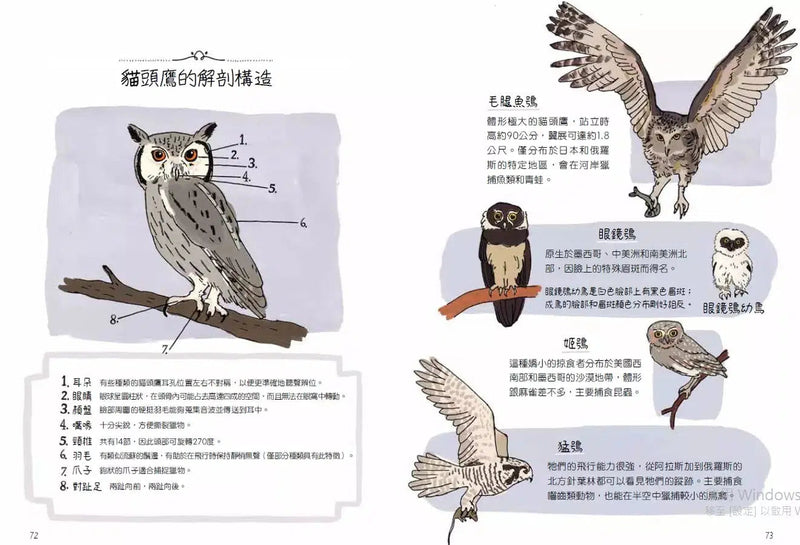 動物生態解剖書：揭祕世界各地野生動物的奇妙習性與生活-非故事: 動物植物 Animal & Plant-買書書 BuyBookBook