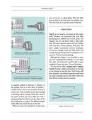 Double Dangerous Book for Boys, The - 買書書 BuyBookBook