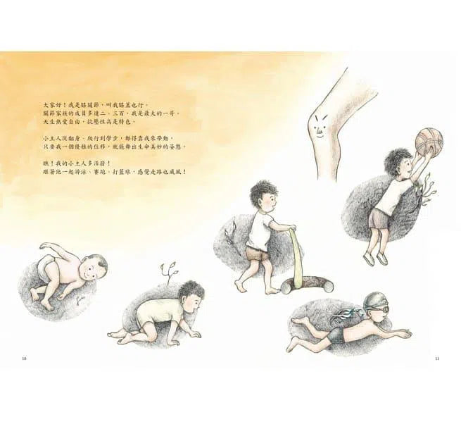 Dr. Knee的希望花園 - 60°的祕密-故事: 兒童繪本 Picture Books-買書書 BuyBookBook