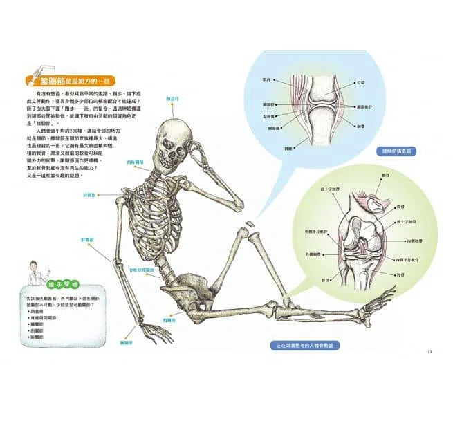 Dr. Knee的希望花園 - 60°的祕密-故事: 兒童繪本 Picture Books-買書書 BuyBookBook