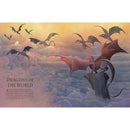 Dragon World (Hardback) DK UK