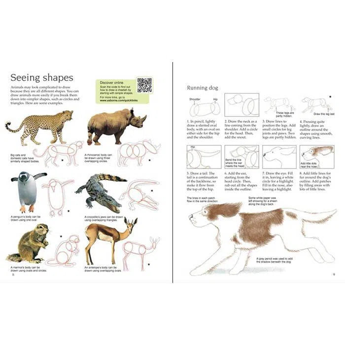 Usborne Art Ideas Drawing animals (QR Code) Usborne