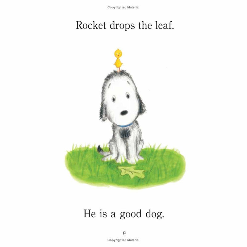 Drop It, Rocket!-Fiction: 兒童繪本 Picture Books-買書書 BuyBookBook