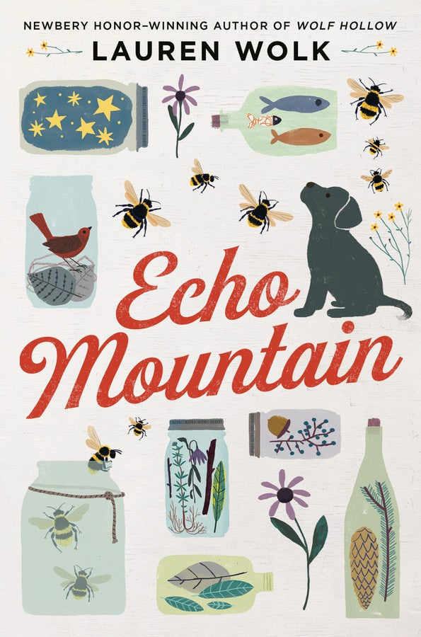 Echo Mountain-Children’s / Teenage fiction: Biographical/ historical fiction and true stories-買書書 BuyBookBook