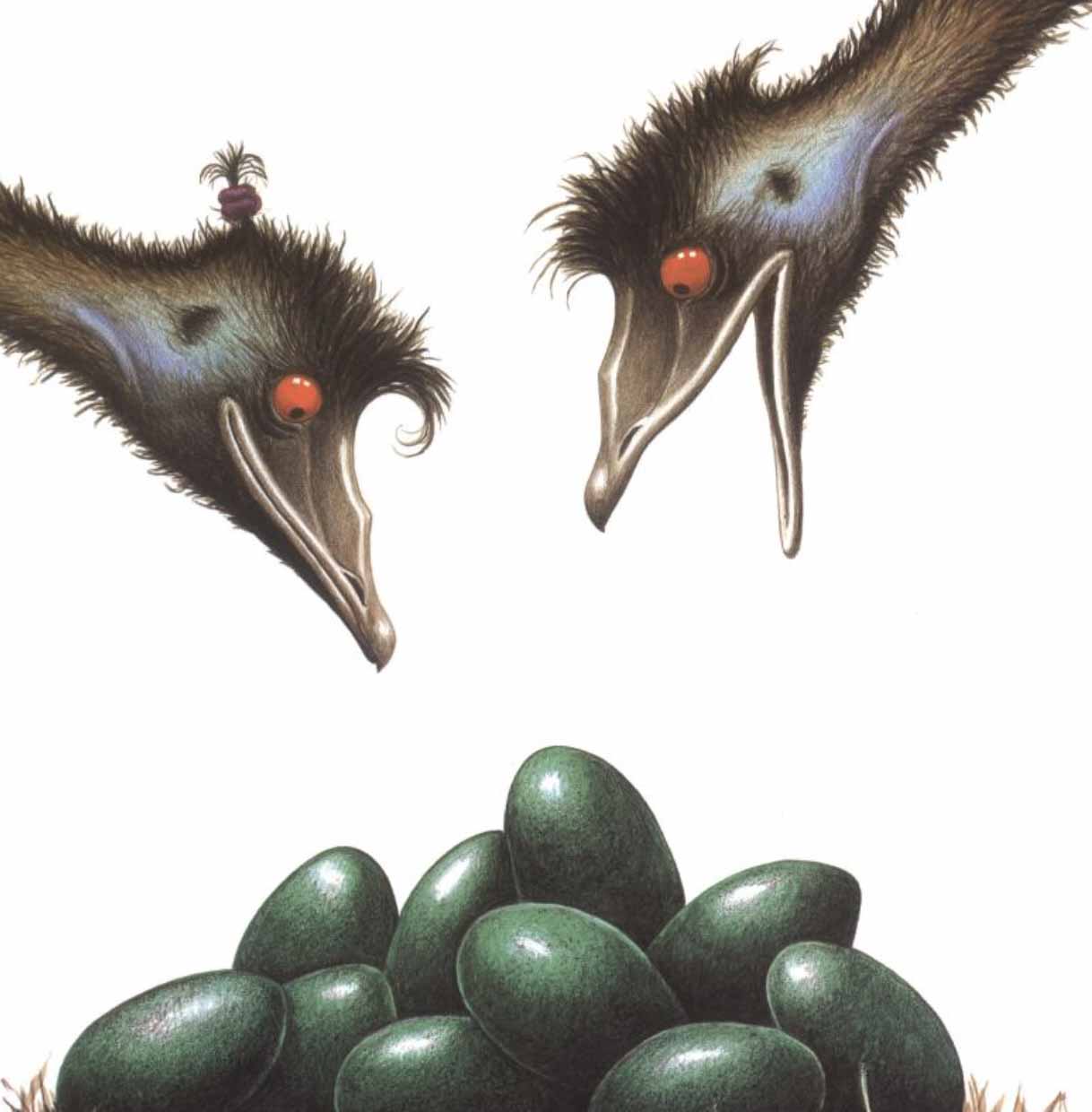 Edwina the Emu (Sheena Knowles)-Fiction: 兒童繪本 Picture Books-買書書 BuyBookBook