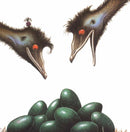 Edwina the Emu (Sheena Knowles)-Fiction: 兒童繪本 Picture Books-買書書 BuyBookBook