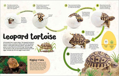 Egg Book, The-Nonfiction: 動物植物 Animal & Plant-買書書 BuyBookBook