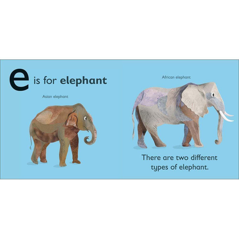 E is for Elephant (Board book) DK UK