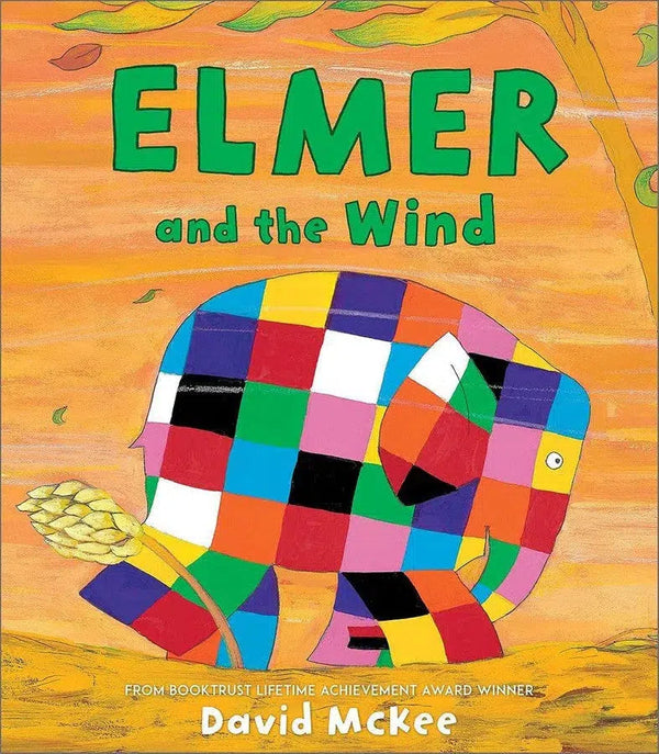 Elmer and the Wind-Children’s picture books-買書書 BuyBookBook