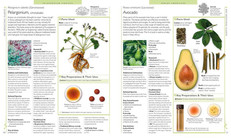 Encyclopedia Of Herbal Medicine - 買書書 BuyBookBook