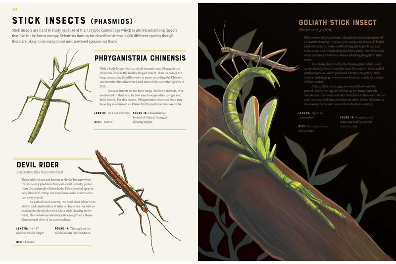 Encyclopedia of Insects-Nonfiction: 參考百科 Reference & Encyclopedia-買書書 BuyBookBook