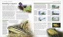Encyclopedia of Aquarium and Pond Fish DK UK