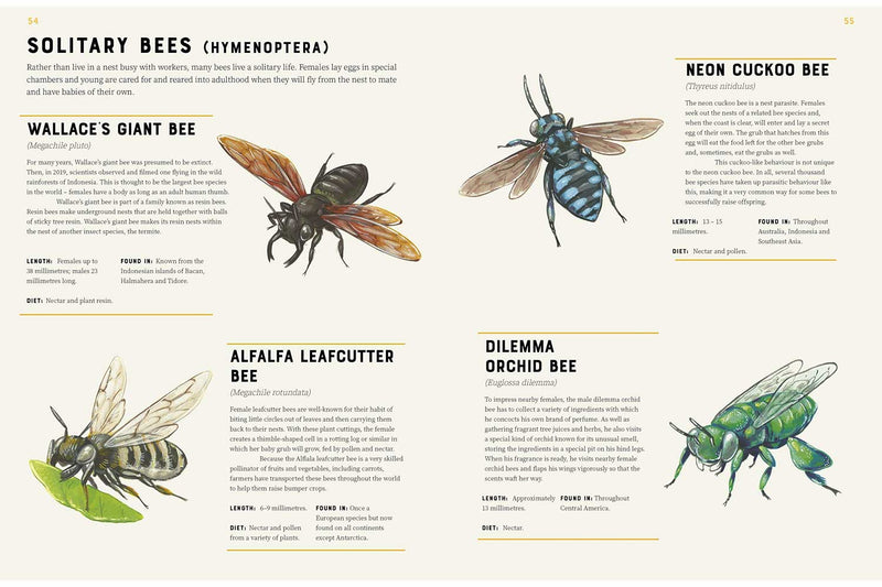 Encyclopedia of Insects-Nonfiction: 參考百科 Reference & Encyclopedia-買書書 BuyBookBook