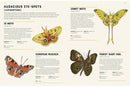 Encyclopedia of Insects-Nonfiction: 參考百科 Reference & Encyclopedia-買書書 BuyBookBook