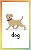 English for Everyone Junior English Alphabet Flash Cards-Activity: 學習補充 Learning & Supplemental-買書書 BuyBookBook