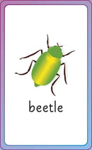 English for Everyone Junior First Words Animals Flash Cards-Children’s / Teenage reference material-買書書 BuyBookBook