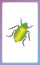 English for Everyone Junior First Words Animals Flash Cards-Children’s / Teenage reference material-買書書 BuyBookBook