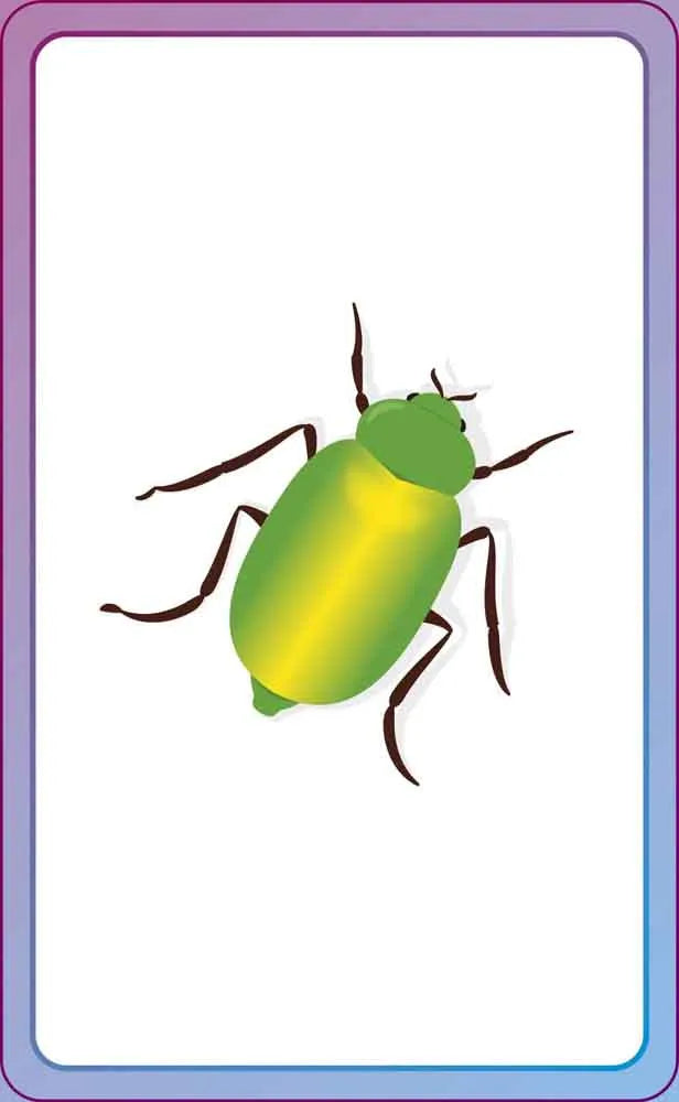 English for Everyone Junior First Words Animals Flash Cards-Children’s / Teenage reference material-買書書 BuyBookBook