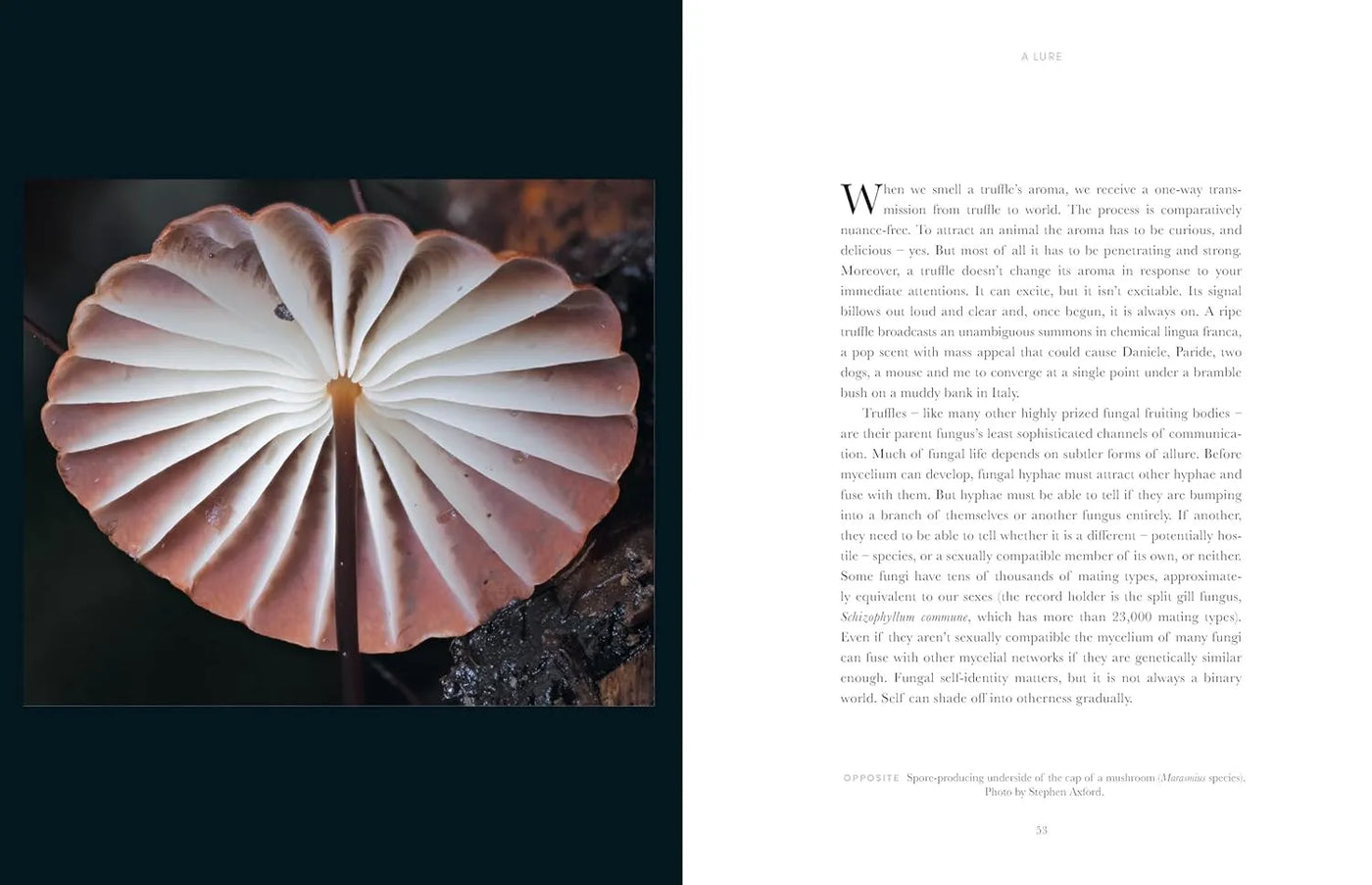 Entangled Life: The Illustrated Edition